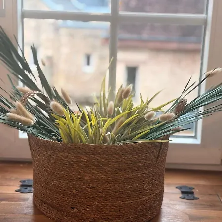 Centre Super Duplex, Wifi, 5 Pers Avec Vayny Apartment *