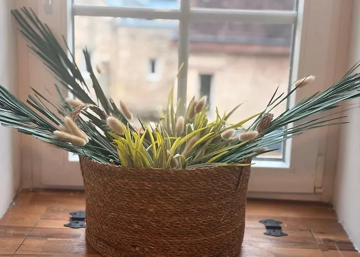 Centre Super Duplex, Wifi, 5 Pers Avec Vayny Apartment *